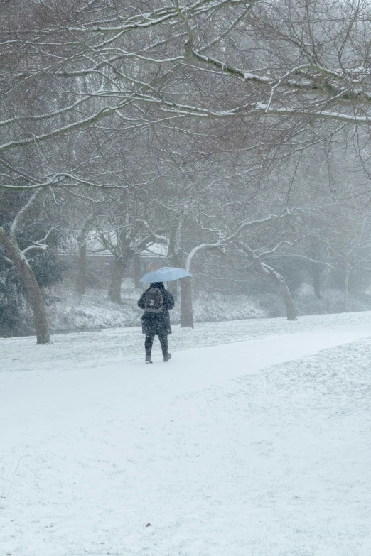 a man walking with an umbrella in the snow