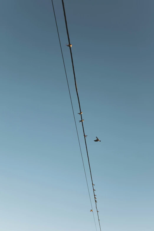 two planes are flying on top of the power lines