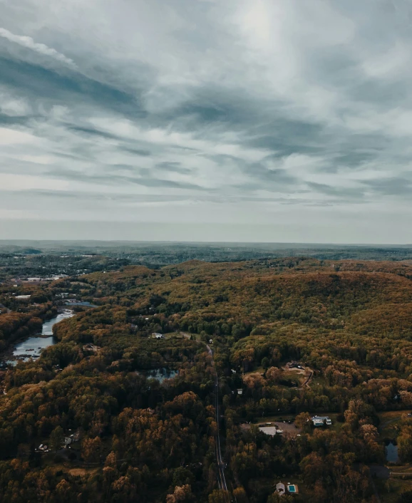 an aerial view of trees and houses in the middle