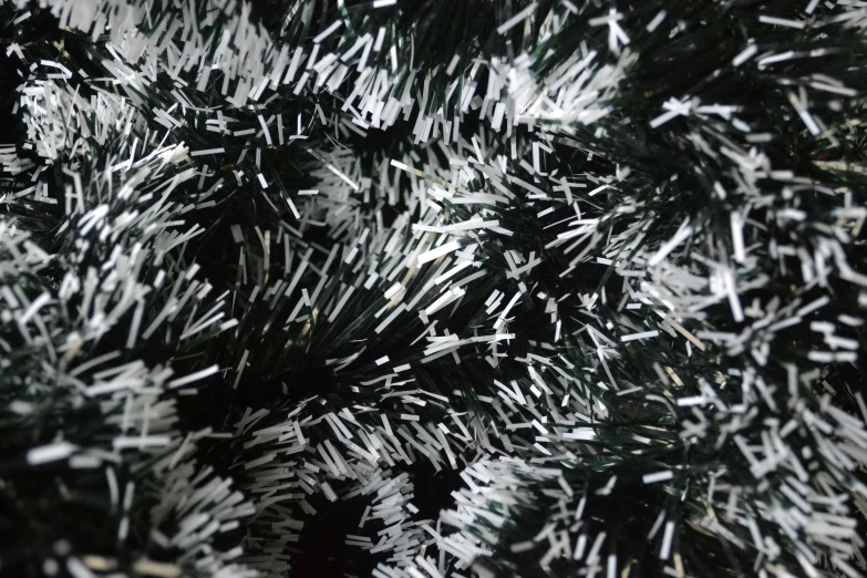 close up of a fir tree nch filled with white flakes