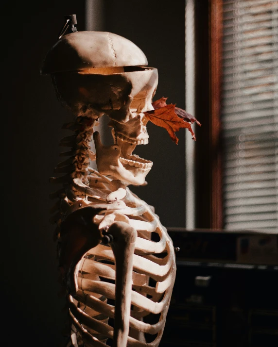 a human skeleton sits in a dark room and stares straight ahead