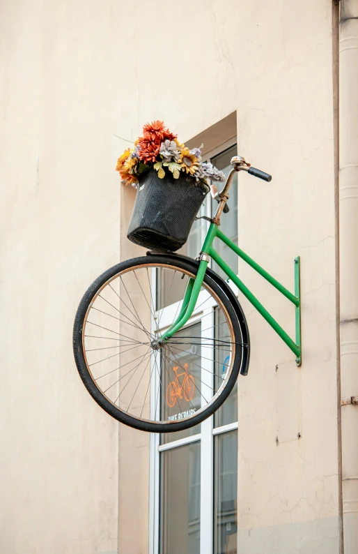 a close up of a bicycle with flowers in it