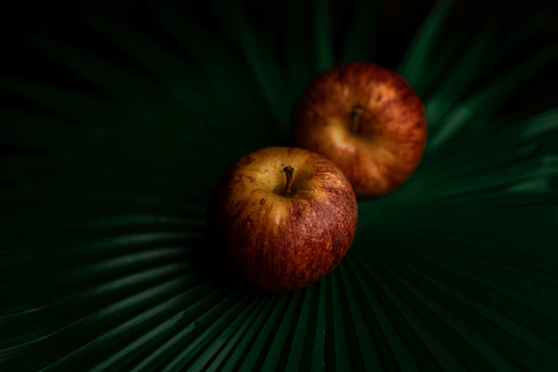 two apples sitting on a leafy green table