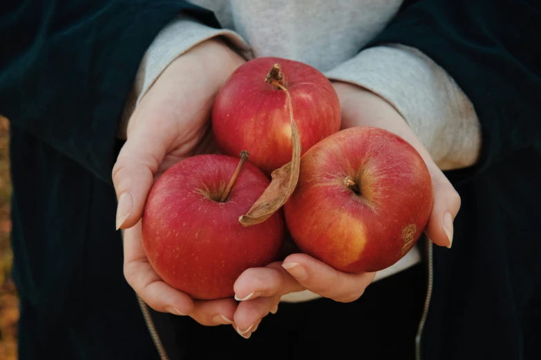 three red apples being held by a person's hand