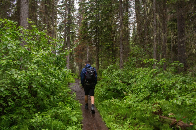 a man wearing a backpack walking on a trail through tall green trees