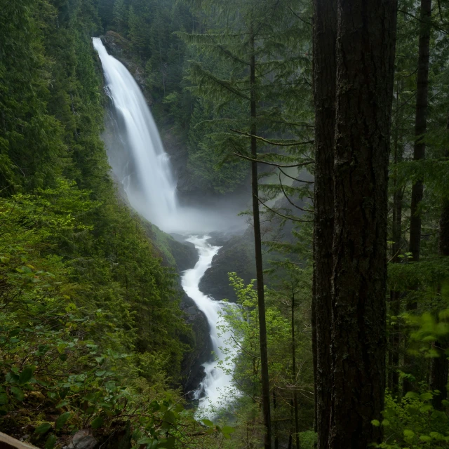 a waterfall surrounded by trees and fog in the air