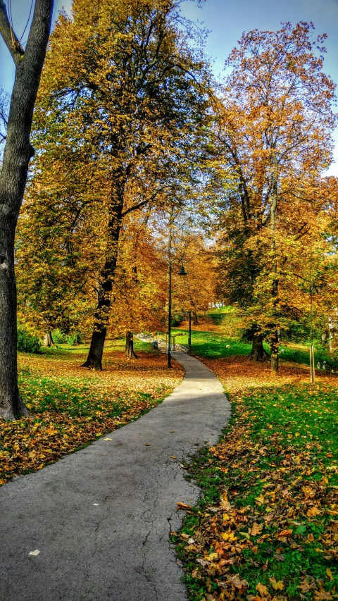 an empty walkway in an autumn park
