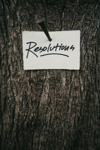 a sign posted on a tree stating resolution is
