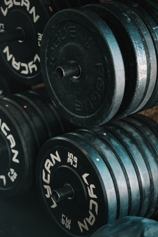 four rows of weights in the gym