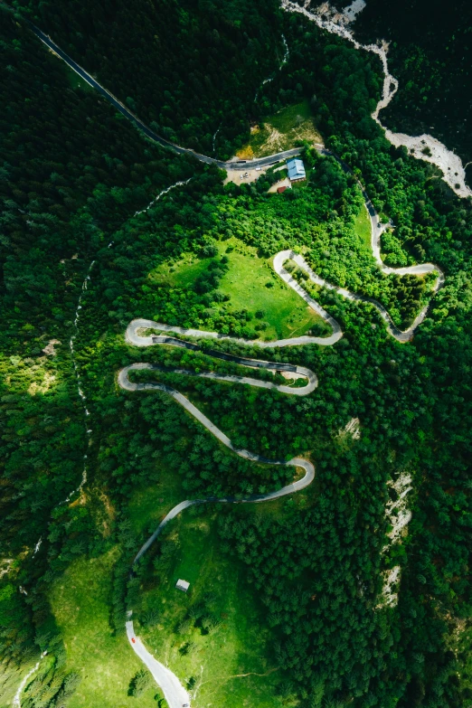 a large road winding on a hill surrounded by forest