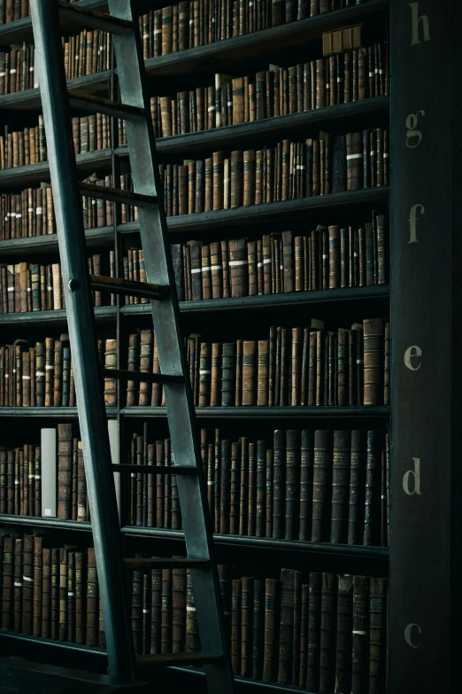 two old ladders that have been placed in a book case