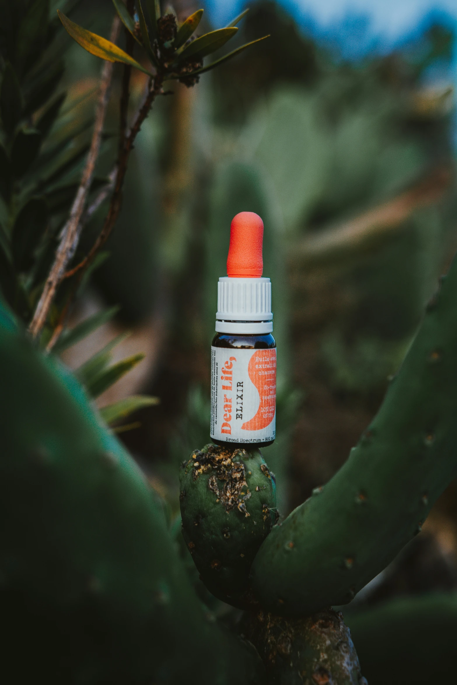 a small bottle is in front of some plants