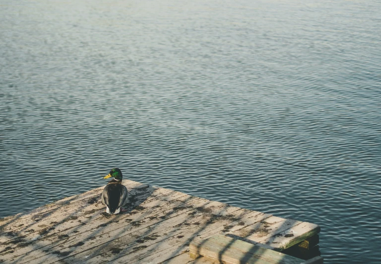 a man is sitting on a dock by the water