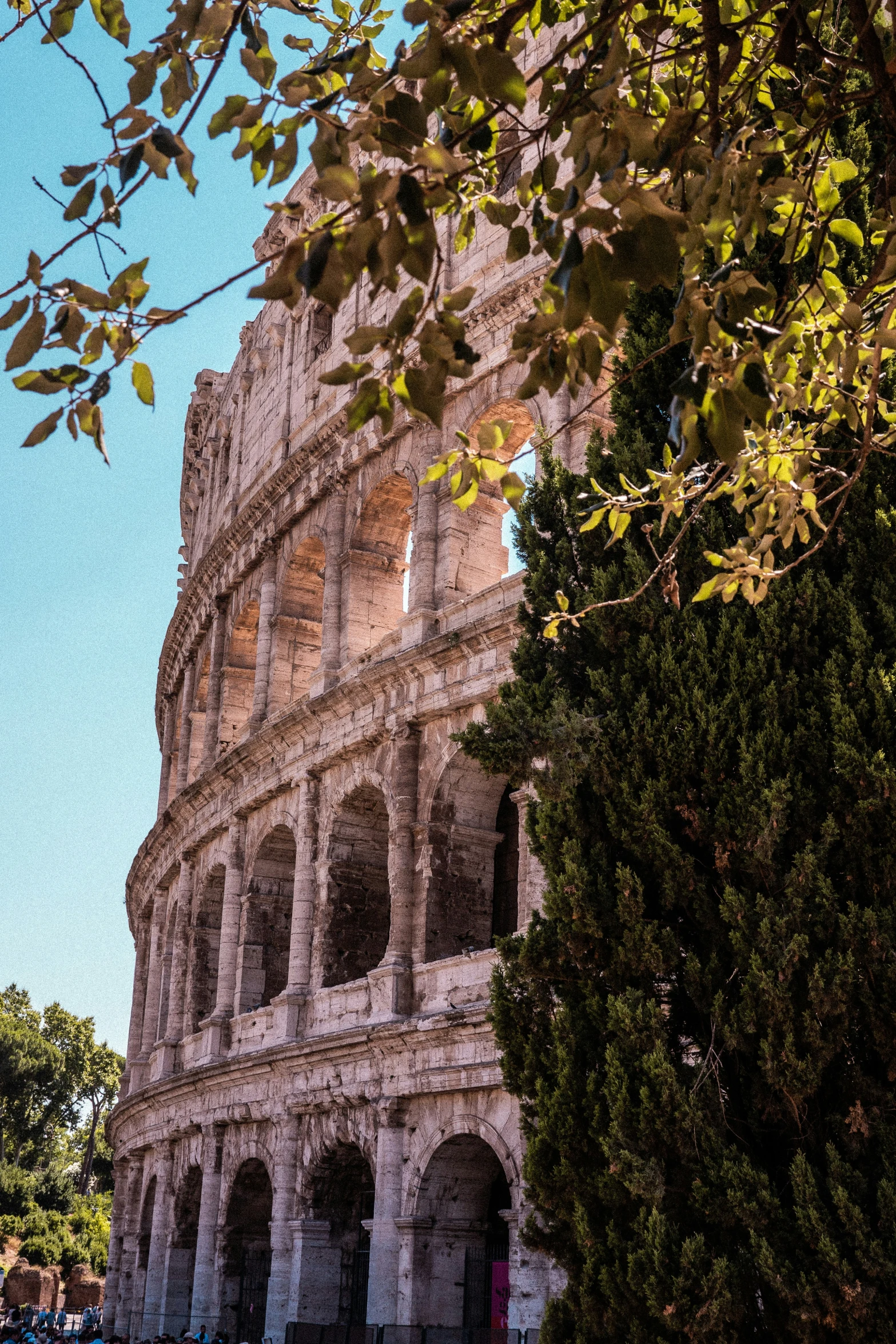 a view of the bottom of the leaning tower