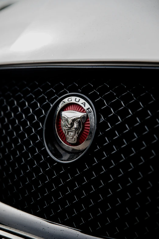 a front grille with a skull emblem on the hood