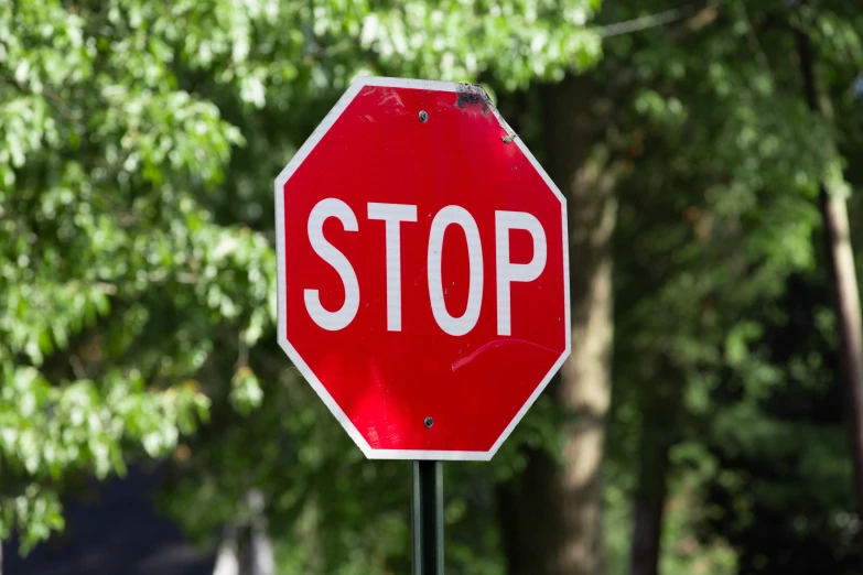 a red and white stop sign a tree and some buildings