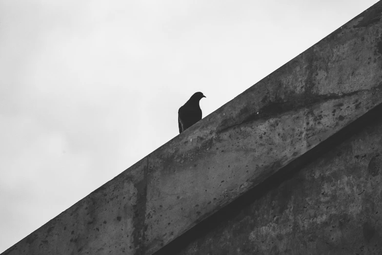 there is a black bird sitting on a large cement ledge