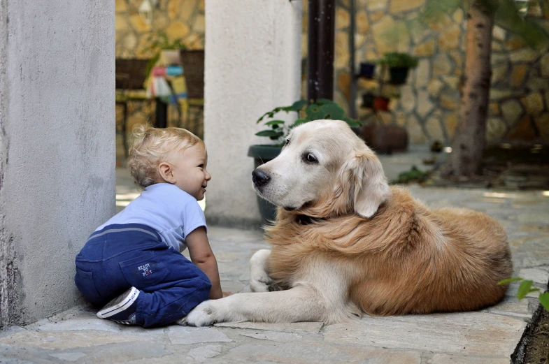 a small child sitting on the ground next to a dog