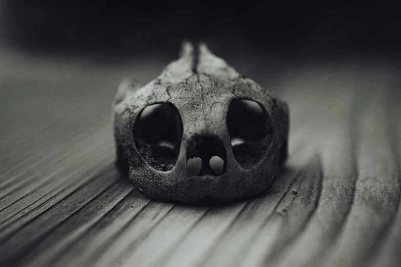 a skull lying on the ground near one eye open