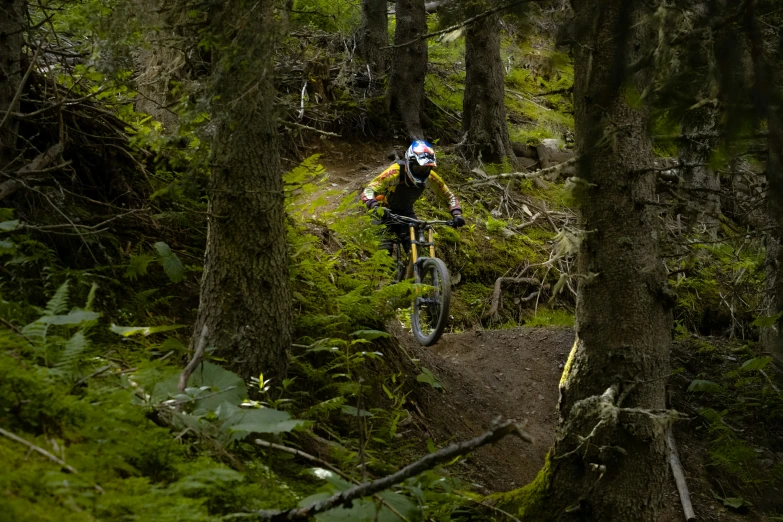 the cyclist is riding his bike down the trail in the woods