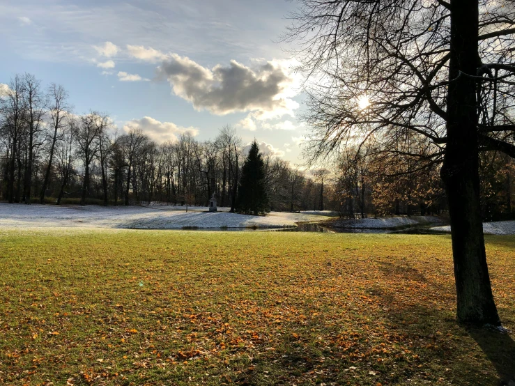 a field covered with snow next to a small tree