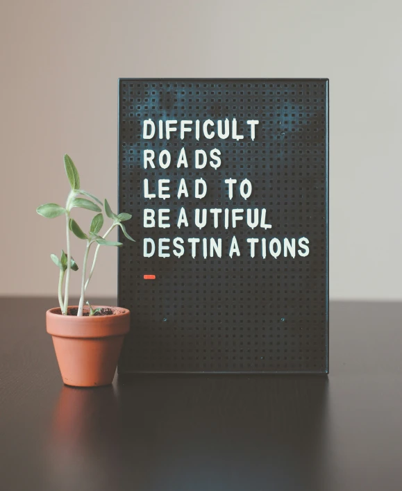 a plant is sitting next to a sign saying difficult roads lead to beautiful destinations