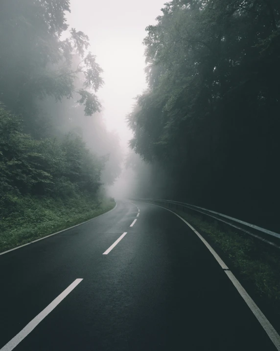 the view of a foggy road near some trees