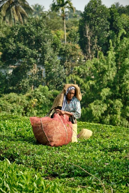 a man is carrying soing and sitting in the grass