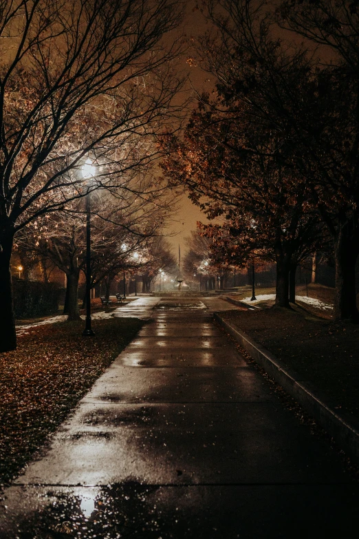 a rainy night in the park, the leaves change color