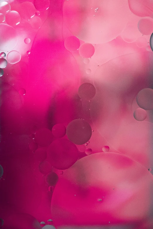 pink water bubbles floating in front of a window