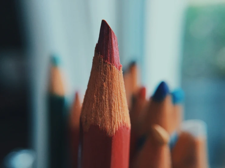 several pencils are lined up in a row