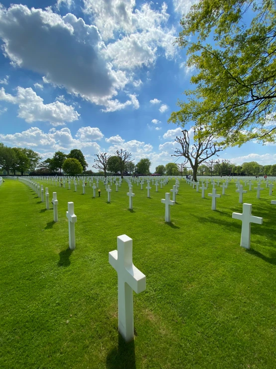 a large grassy field with many crosses on it