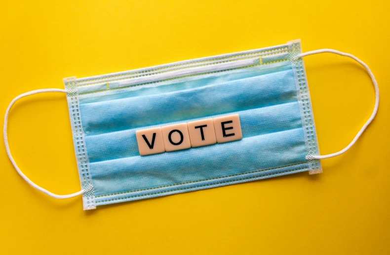 a face mask is adorned with the word vote written on a piece of wood