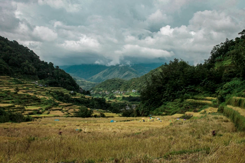 a view of a mountainous valley, with trees and mountains