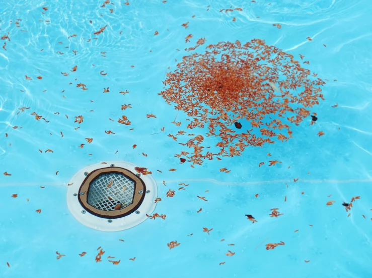 a drain in a swimming pool with a net on the floor