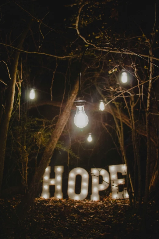 a po of a forest at night with lights and a word hope in the middle