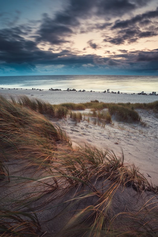 the sun rises over a sandy beach and grassy dunes