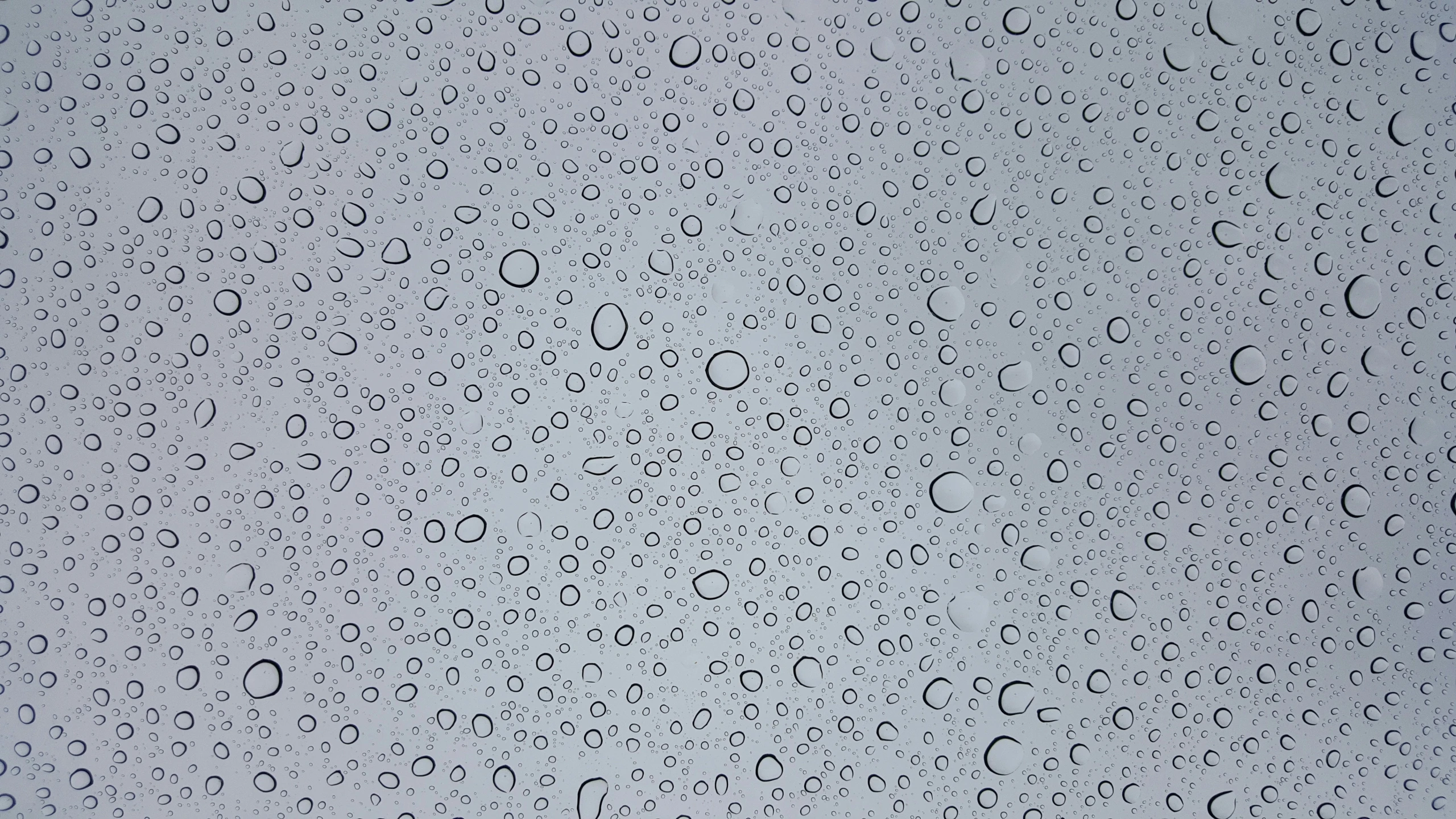 the back of an umbrella with lots of raindrops