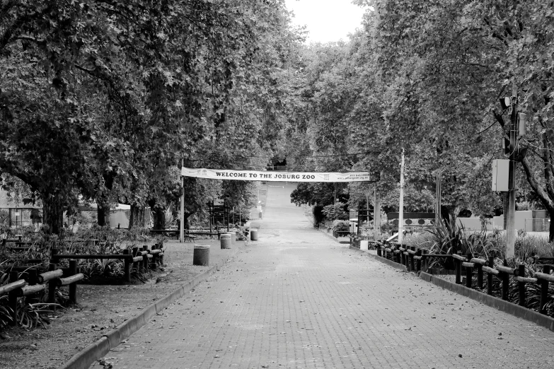 a walkway surrounded by trees and shrubbery on the side