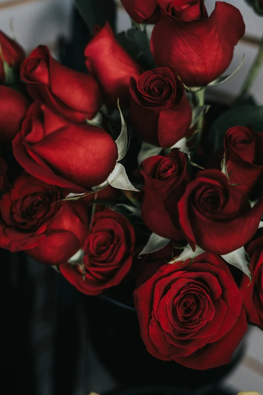 an arrangement of red roses sit in a vase