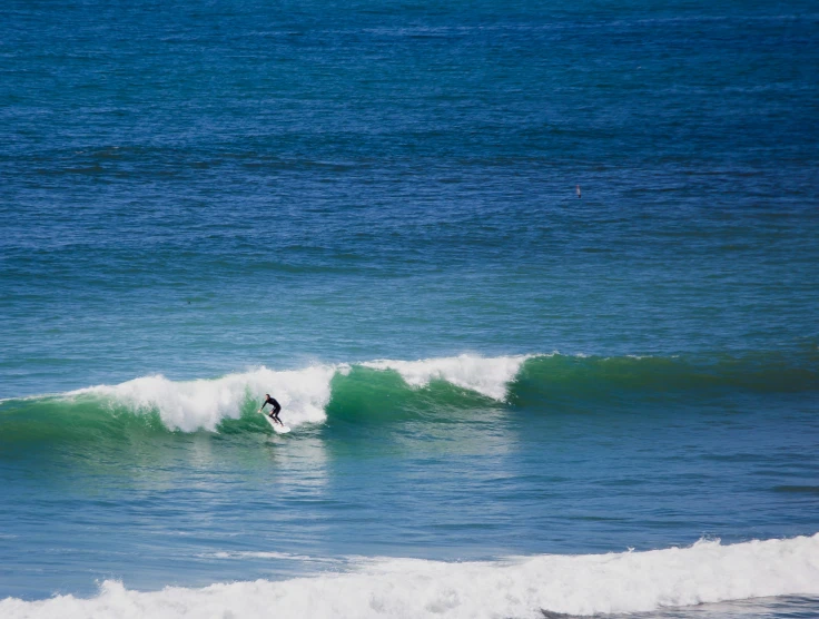 surfer surfing in the middle of a blue ocean