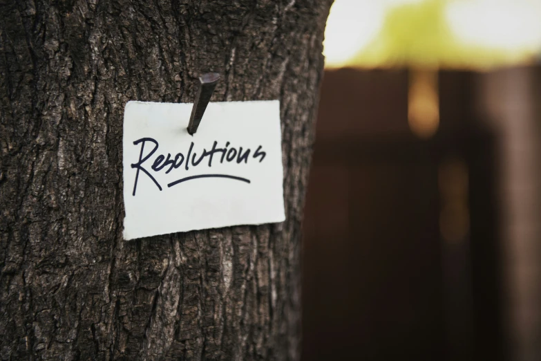 a sign that reads restivitum hangs on a tree