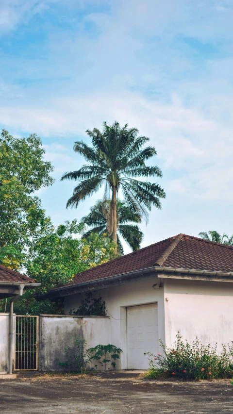 an old house with a palm tree is pictured