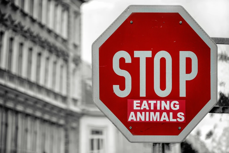 stop sign with words saying eating animals posted to it