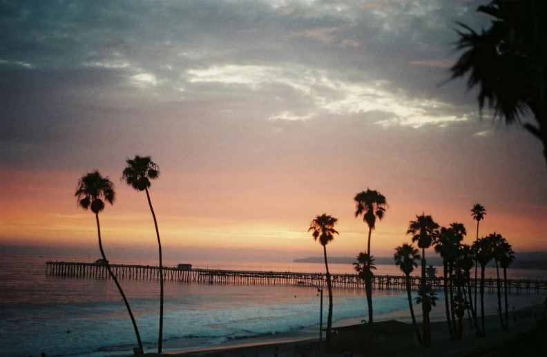 a sunset and some palm trees at the beach