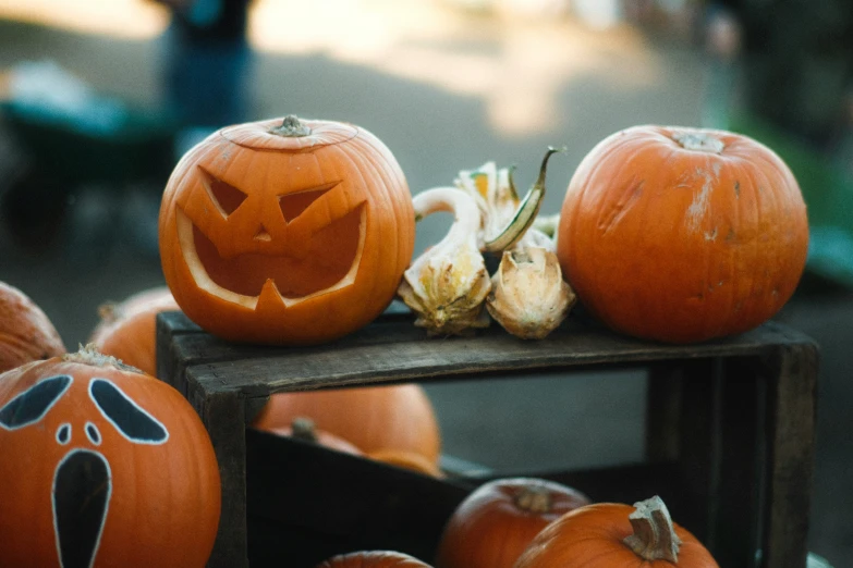 the pumpkins are carved to look like angry animals