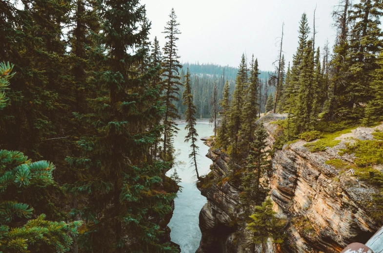 a body of water surrounded by wooded mountains