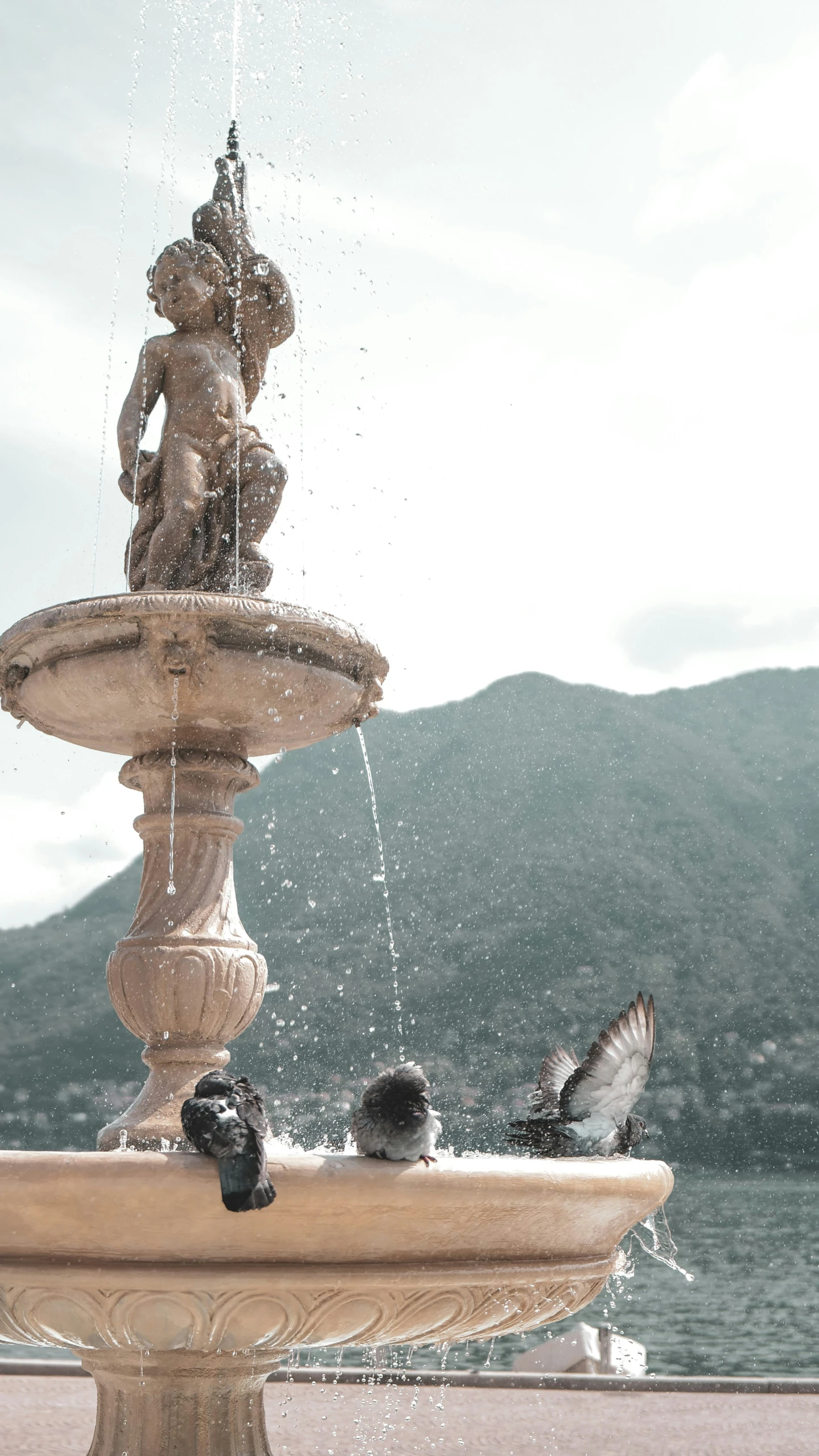 a fountain that has birds sitting on it