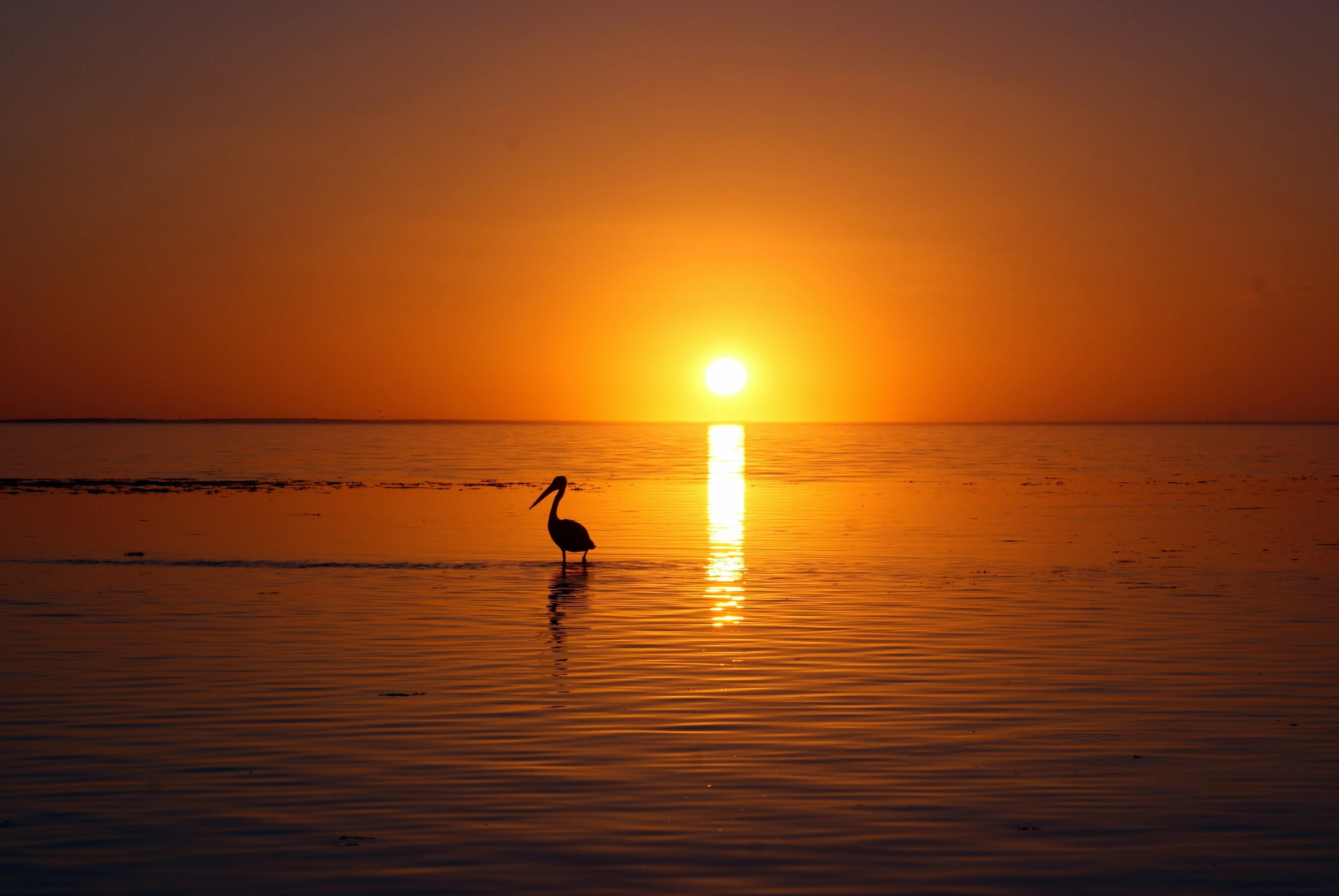 the sun is rising over a body of water