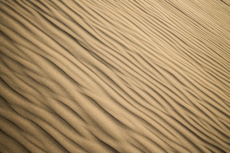 a small group of large wavy lines in the desert sand